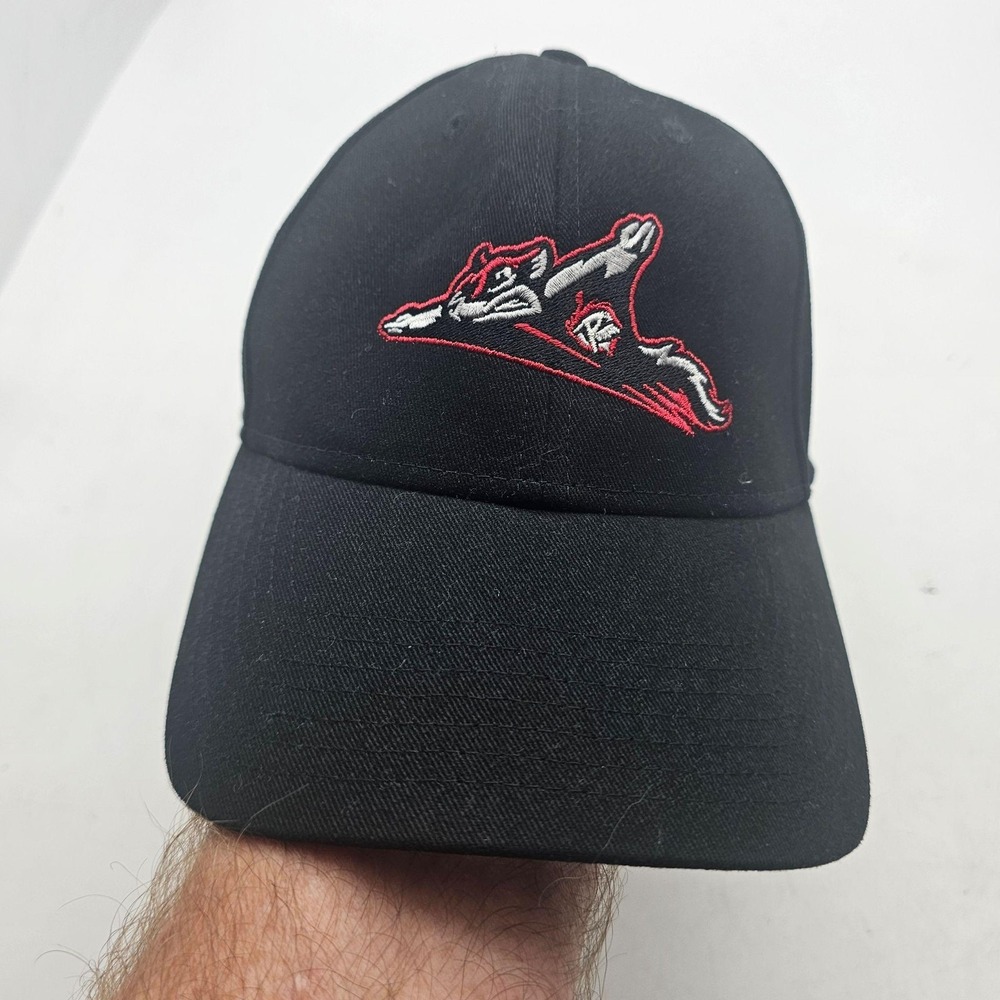 Richmond Flying Squirrels Hat Cap Strap Back Youth One Size Black MLB 47 Brand